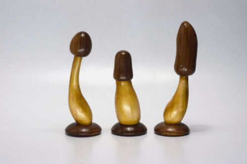 sextoys champignons