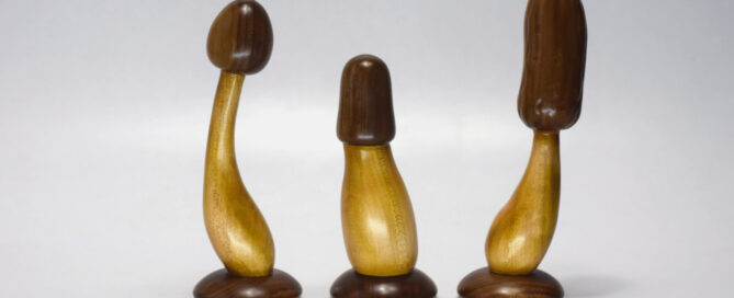 sextoys champignons